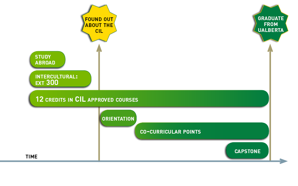 Certificate in International Learning path option two