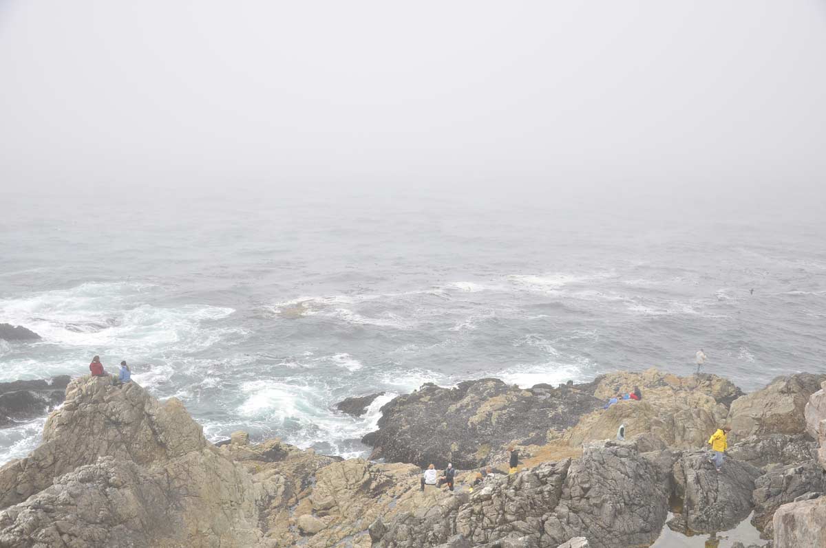 Wideshot of oceanographers scattered along a rocky shoreline facing a grey, stormy ocean on the west of Vancouver Island near the Bamfield Marine Sciences Centre.