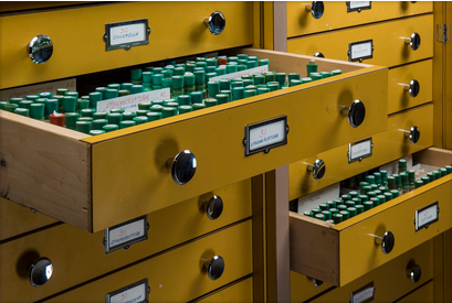 Open drawers containing samples of freshwater invertebrates from the UAlberta collection