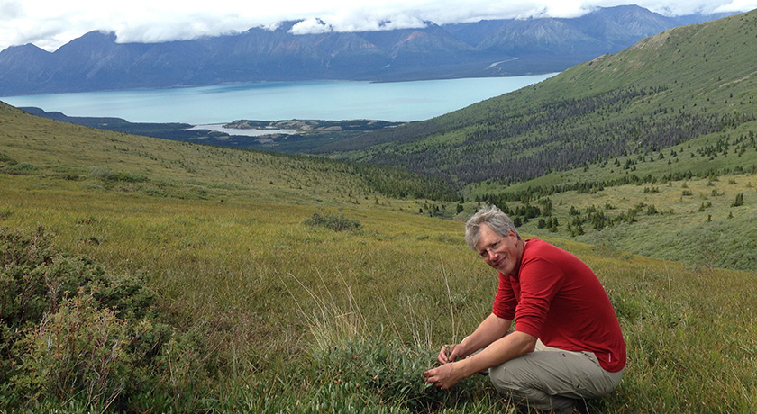 David Hik awarded the Polar Medal by the Governor General for contributions to research in the Canadian North. 