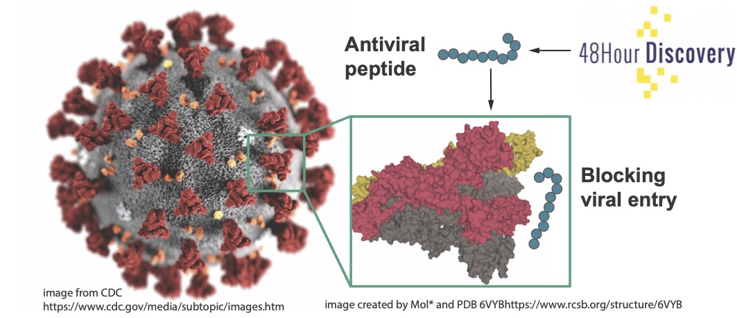 An Edmonton company searches for antiviral compounds to treat COVID-19.