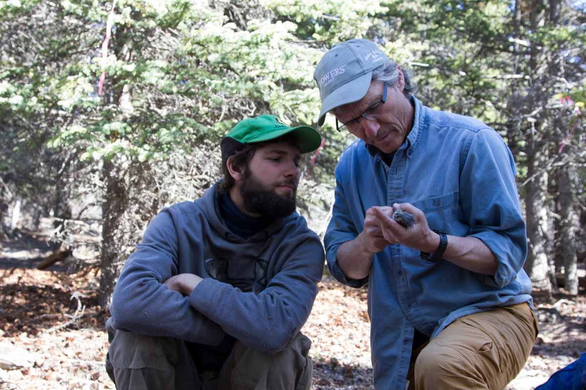 Stan Boutin with graduate student Jacob Seguin in the Yukon, collecting snowshoe hare data as part of the Kluane Lake Project.