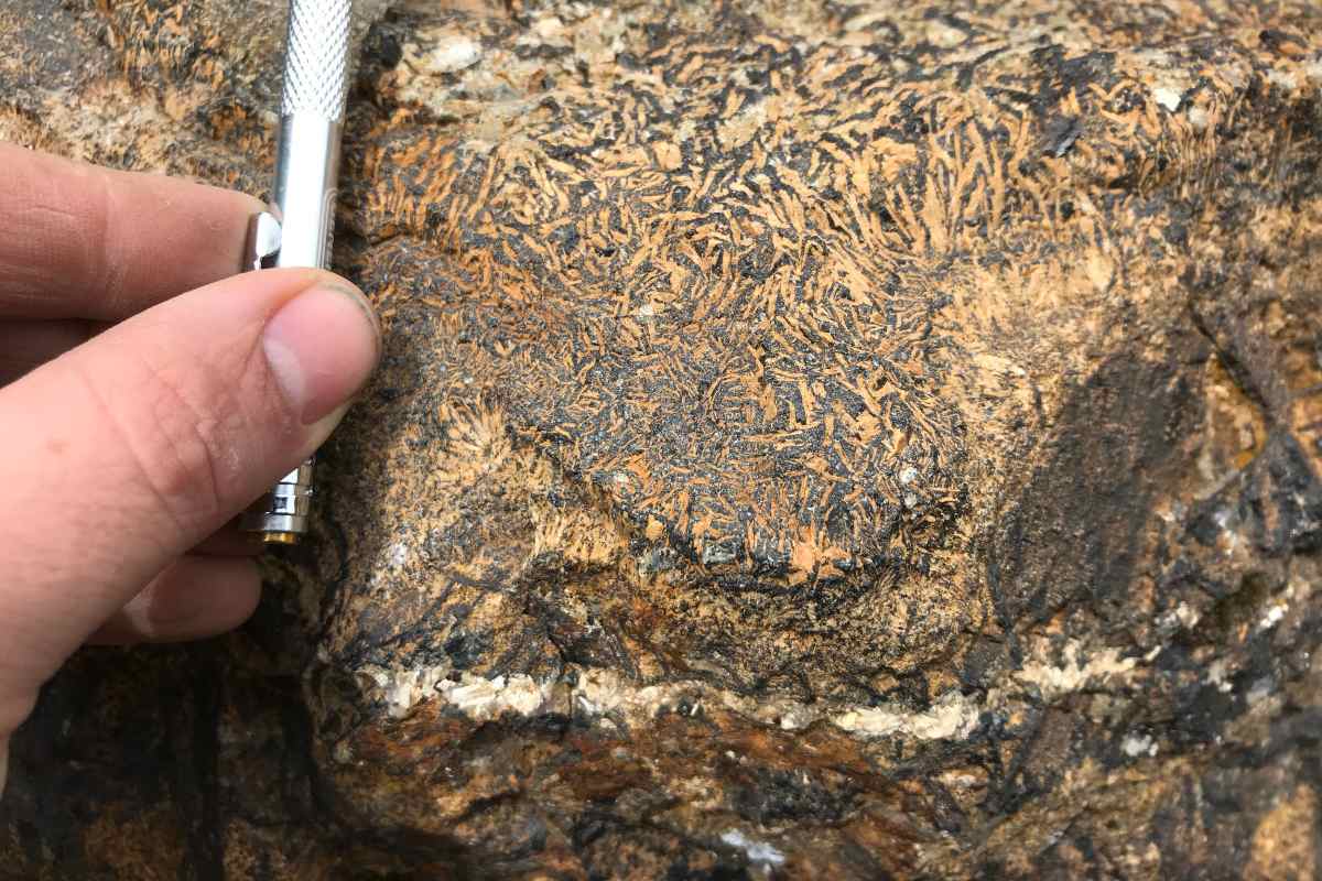 Iron oxide-apatite ore from one of the study areas at Iron Springs, Utah.