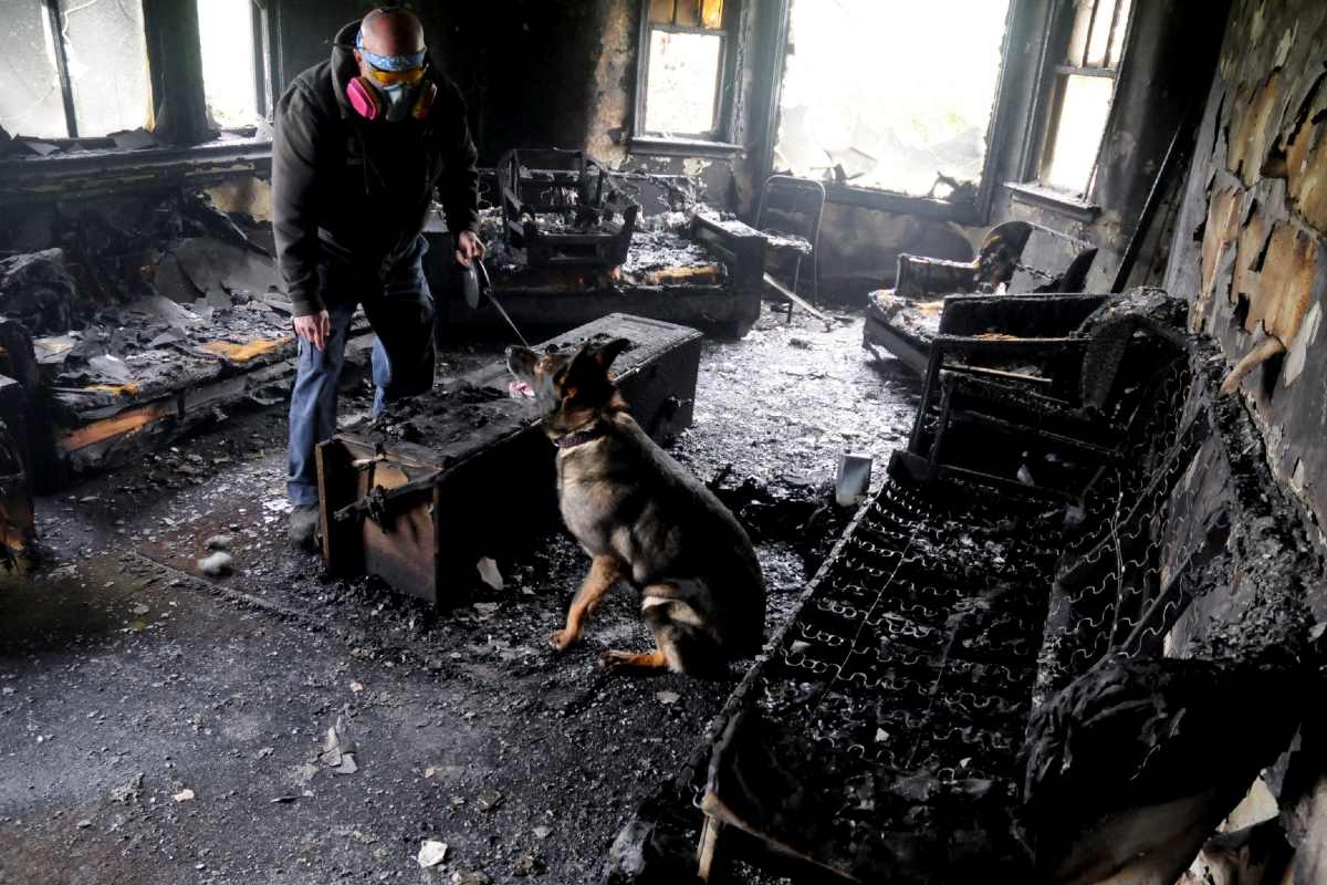 Eza waiting for her handler, Jeff Lunder, to initiate a search of a residential structure fire to check for any indication of ignitable liquid.