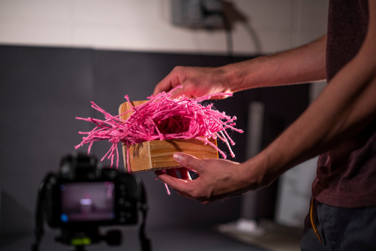 A zebra finch nest constructed from colorful materials in the lab. A new study is shedding light on how animals learn by examining how zebra finches develop a nest-building style.