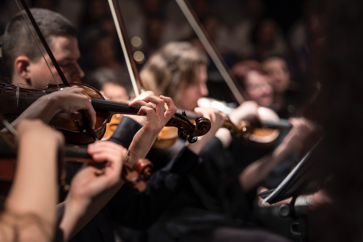 A group of musicians playing violin.