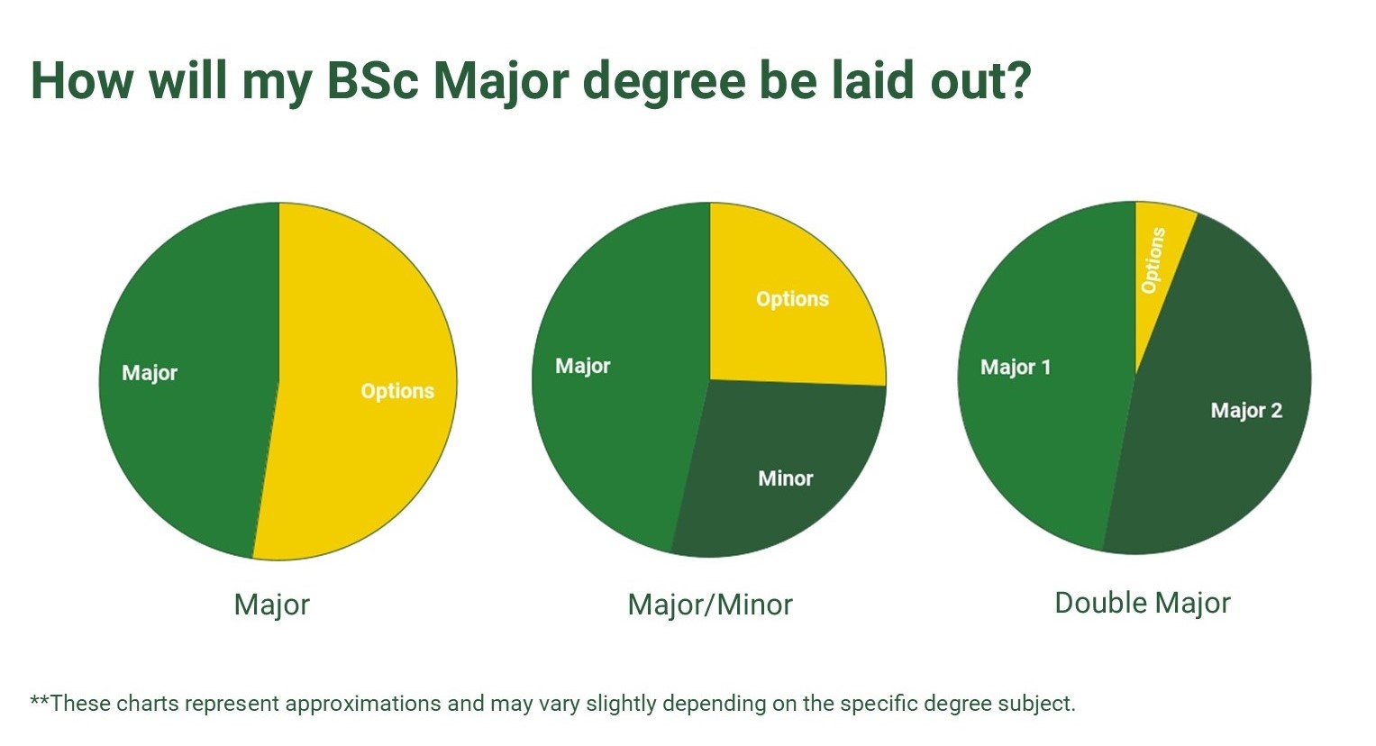 BSc Major pie charts